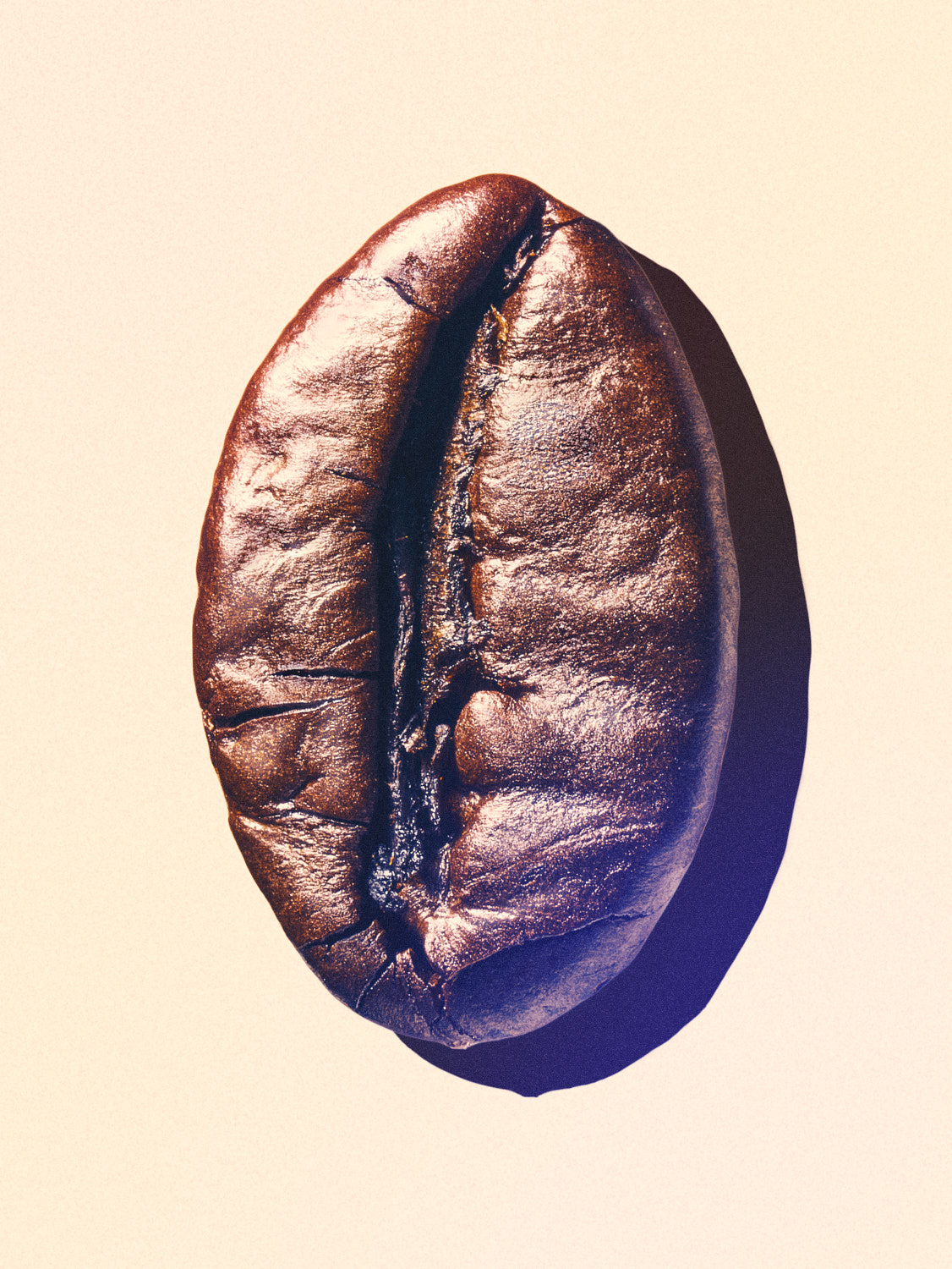 Coffee Bean Photographed In A Minimalist Way  - London Food & Drinks Photographer