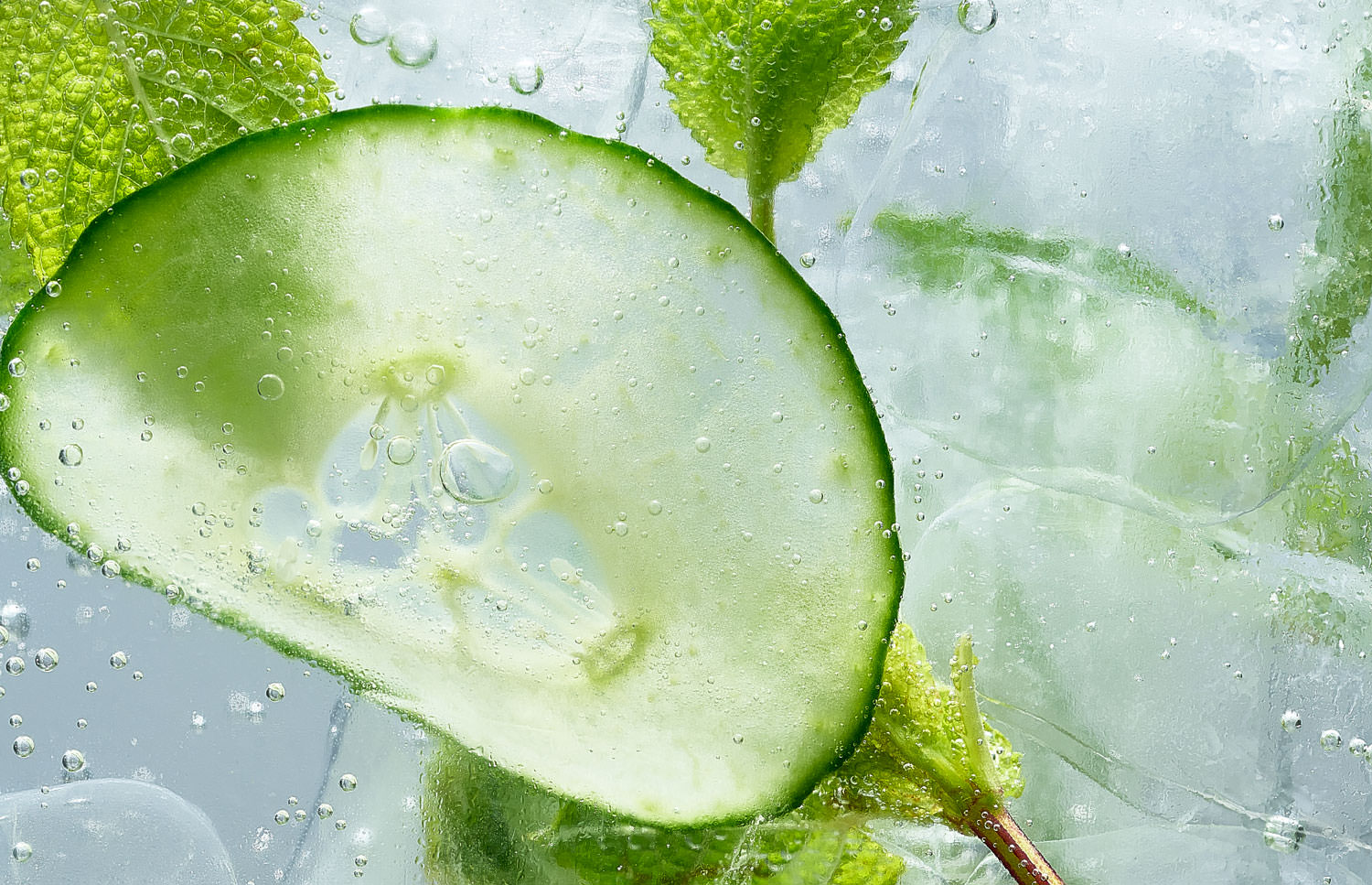 Dry Gin Served With Cucumber Mint and Tonic Water - Food Photographer London 