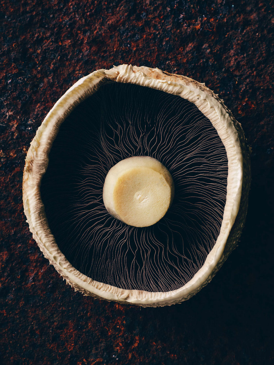 photo of a Portabella mushroom photographed from above, looking at the textured detail of the underside. 