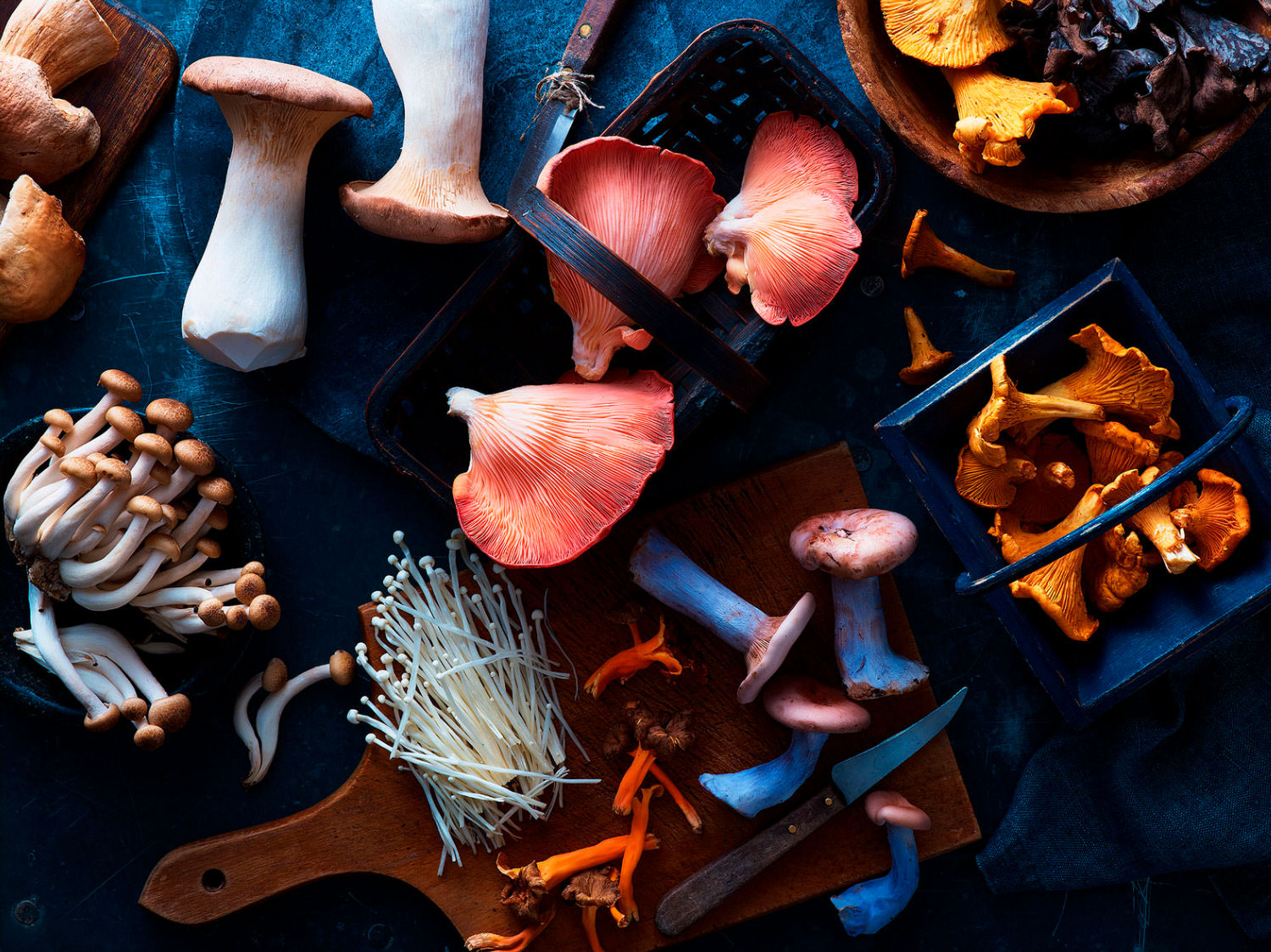 An assortment of wild mushrooms on a dark moody background  - London Food & Drinks Photographer