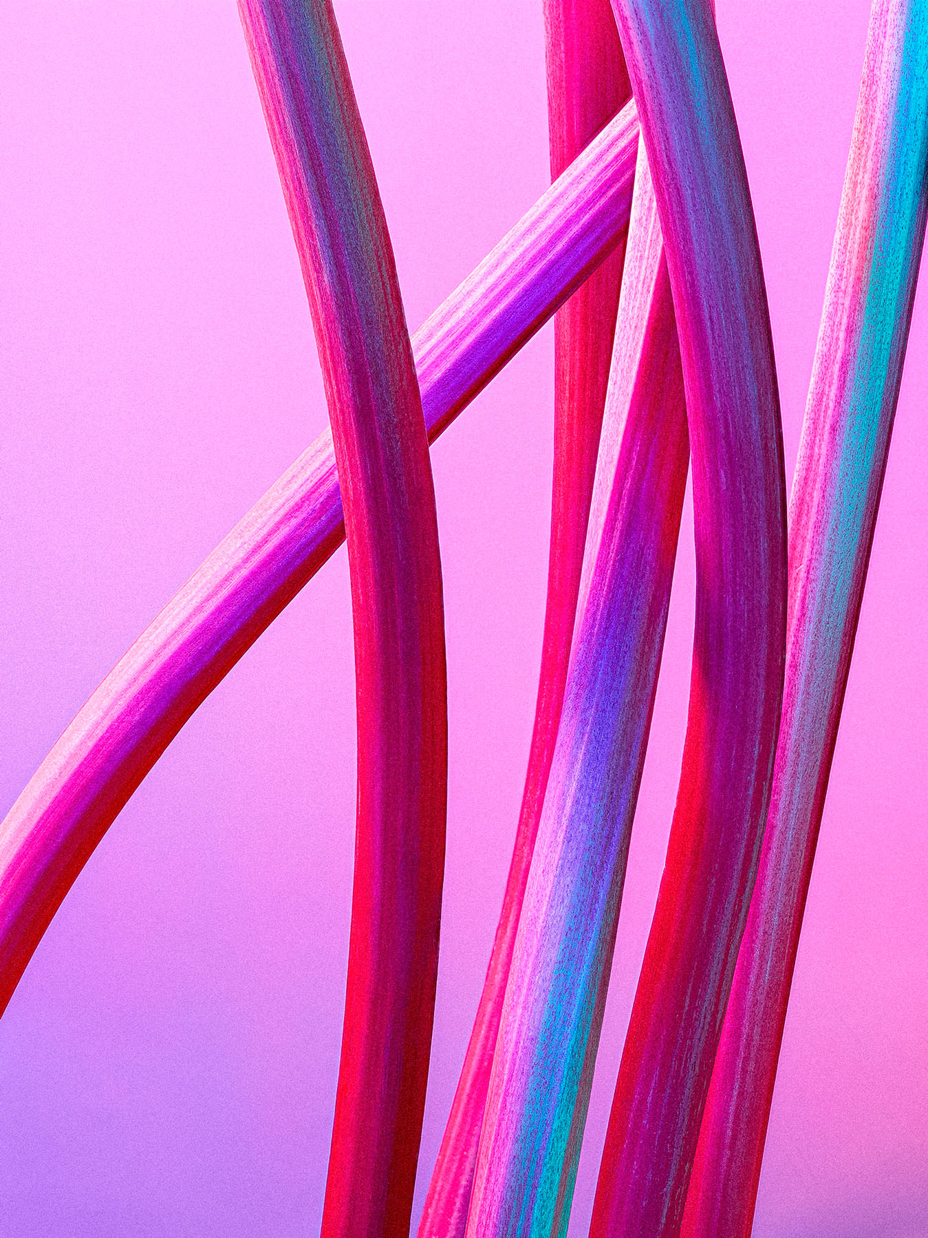 Rhubarb Sticks positioned graphically shot on a pink background - London Food & Drinks Photographer
